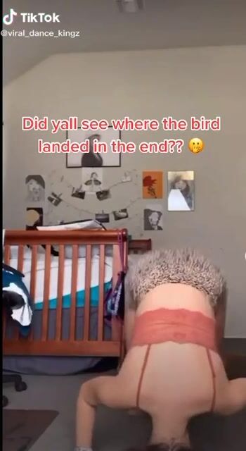 Bahahahaha what a smart bird