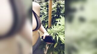 Sexy TikTok Girls: Weed and Tits #2