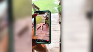 Sexy TikTok Girls: Phatty, face down, ass up. Just the we like them. #3