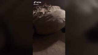 Sexy TikTok Girls: Had to slow mo it because ♥️♥️ #4