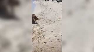 Look look look what I found