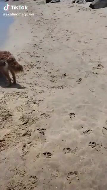 Look look look what I found