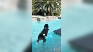 TikTok Hotties: yup thats video really exist #4