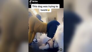 TikTok Ass: That ass got a kind of it’s own ♥️♥️ #3