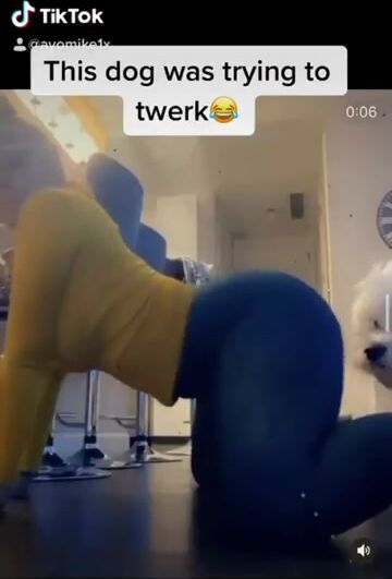 That ass got a kind of it’s own ????