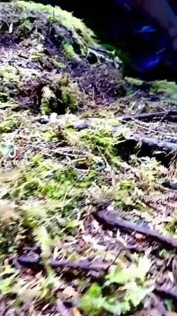 The Legend Mia Malkova