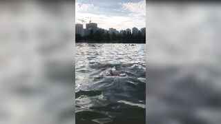 Sexy TikTok Girls: Dolphin #4