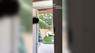 Sexy TikTok Girls: The best ass #1