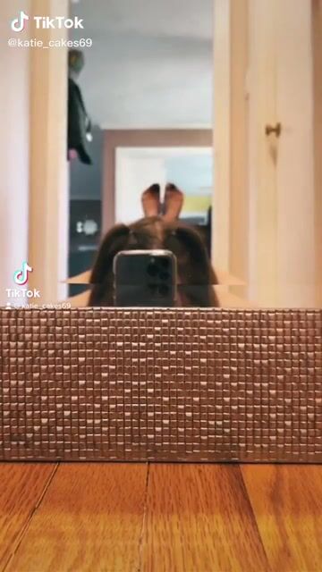 Bunny’s caught in a net