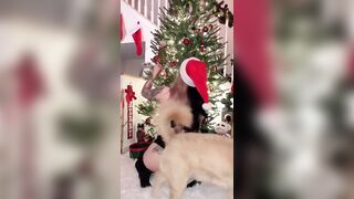 Sexy TikTok Girls: Merry twerkmas to all #4