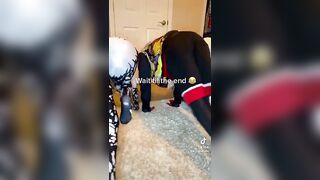 Sexy TikTok Girls: You can see the lips perfect ♥️♥️♥️♥️ #4