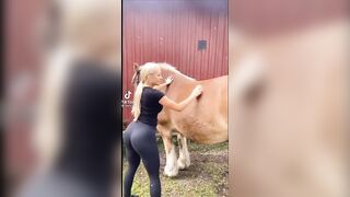 Sexy TikTok Girls: Clydesdale of a woman ♥️♥️ #4