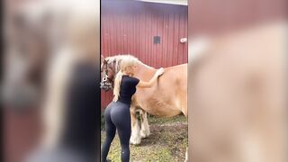 Sexy TikTok Girls: Clydesdale of a woman ♥️♥️ #3