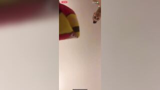 TikTok Hot Live: Finally caught her #3