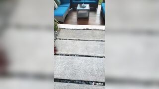 Hot TikTok: A Beautiful Backyard❗ #3