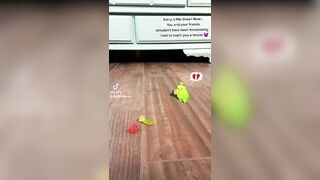 Stepping on 3 little bears while their friend watches ???? ???? ????