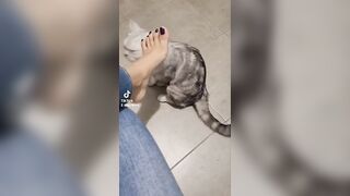 TikTok Feet: Applefoot and cat ♥️♥️ #3
