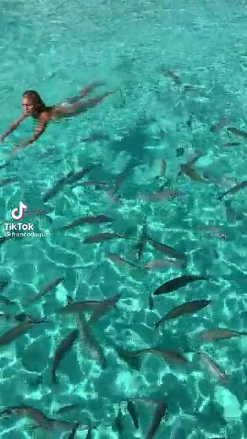 Toes toes toes! (And soles)