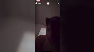 citygalss live yesterday