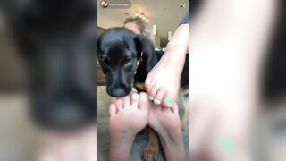 TikTok Feet: @monicamayy #4