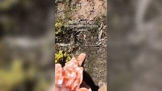 TikTok Feet: had to share it with the world!♥️♥️ #2