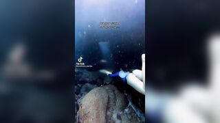 TikTok Feet: TikTokFeet - Video #8298 #1