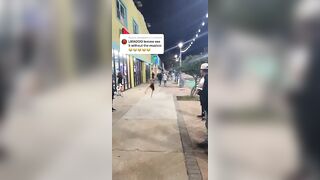 Thick TikTok: @kaay_mo #2