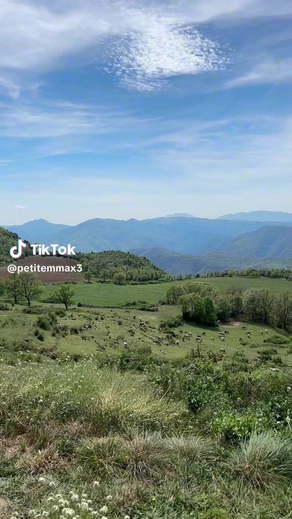 @petitemmax3  outdoor skirt leg spread teasing panties