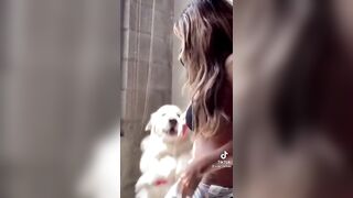 Sexy TikTok Girls: Cute dog #3